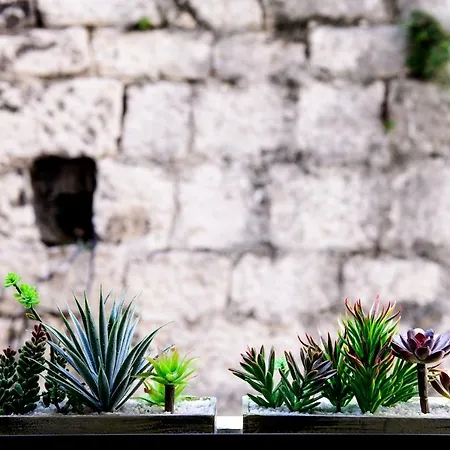 דירה Peristil Cardo ספליט